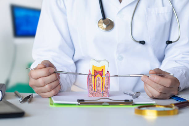 Best Emergency Tooth Extraction  in Kentwood, LA